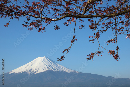 Plakat na papierze fotorealistycznym Mt.fuji z sakurą nad jeziorem kawaguch