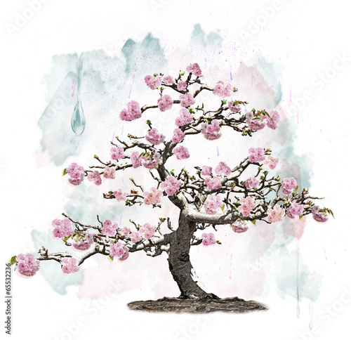 Fototapeta do kuchni Pink Blossoming Tree