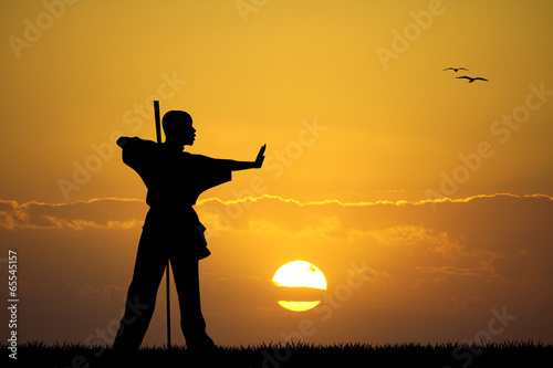 Plakat na papierze fotorealistycznym Kung fu i zachód słońca