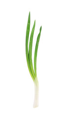 Wall Mural - Green onion.