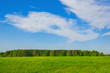© klaiority - Landscape sunlit green meadow and forest and blue sky