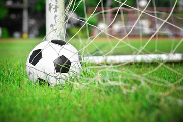 football on the grass field in goal net