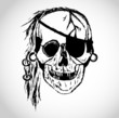 Toothless pirate skull illustration