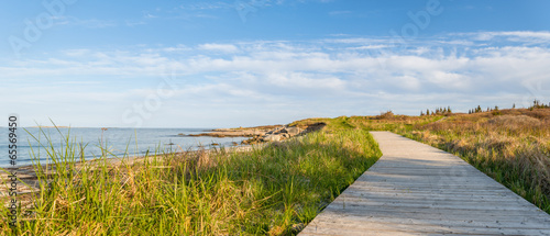 Fotoboard na płycie Panorama ścieżki drewna na plaży