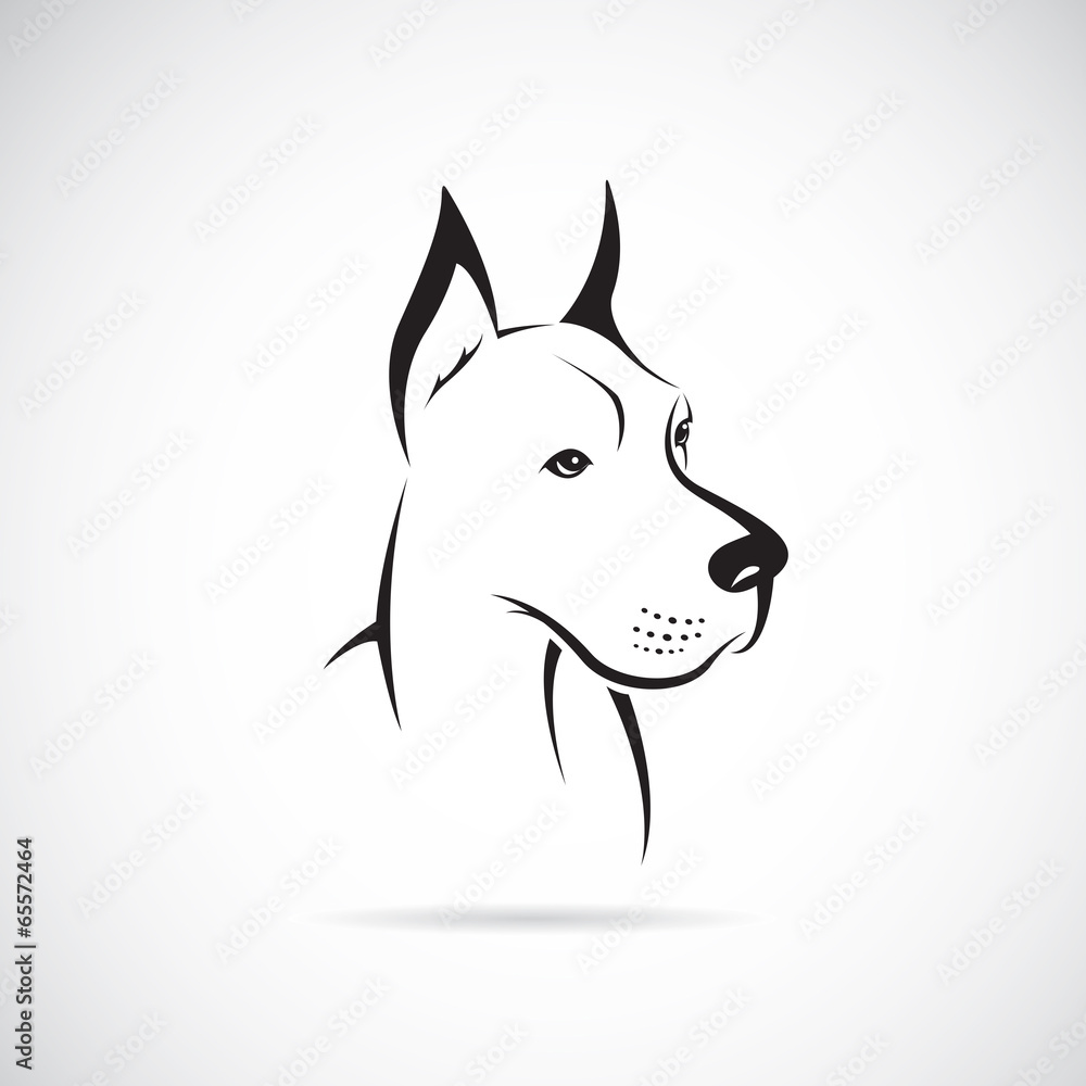 Vector of a dog (Great Dane). Pet. Animals. - obrazy, fototapety, plakaty 