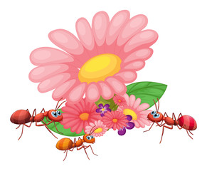 Wall Mural - fresh flowers with ants