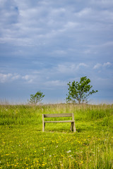 Wall Mural - Spring landscape with bench