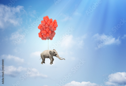 elephant-with-balloons