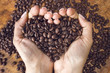 Heart shaped coffee beans,handheld.