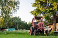 Village Farm Red Old Tractor In Meadow Summer Time