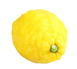 Single fresh yellow lemon