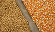 © studio2013 - soybeans and corn seeds