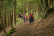 © Tobias Arhelger - a group of walker in a forest