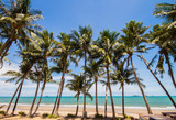 Fototapeta Krajobraz - Beach with coconut tree in blue sky