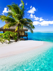 Wall Mural - tropical villa and palm tree next to blue lagoon
