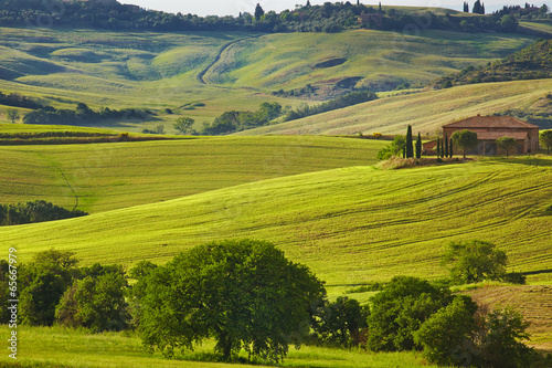 Board z aluminiowym obramowaniem Tuscany wzgórza i wieś w Sienna regionie, Italy