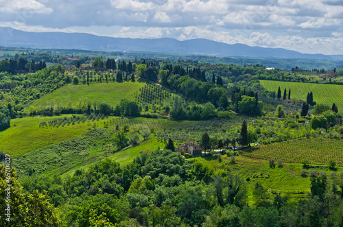 Board z aluminiowym obramowaniem Wzgórza, winnice i cyprysy, toskania, san gimignano