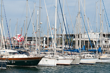 Sailboats in harbor