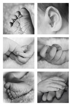 Six Closeup Pictures Of A Newborn Baby's Hands And Feet