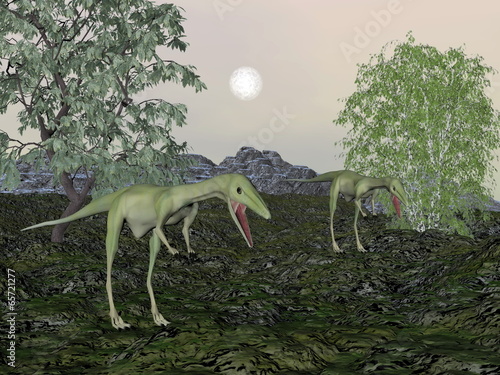Naklejka samoprzylepna Compsognathus dinozaurów mum i baby-3d