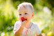 © Martinan - Little kid eating strawberry