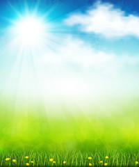 Wall Mural - bright summer vector