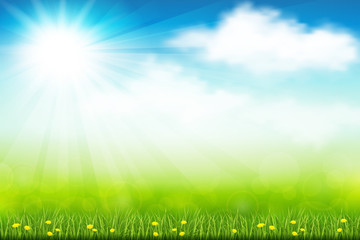 Wall Mural - green field