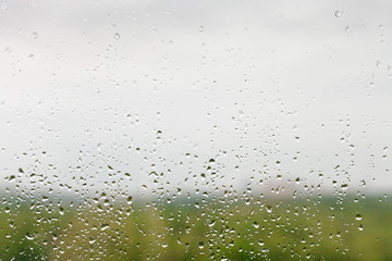 Poster - rain drops on window pane