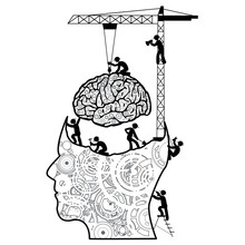 Brain Under Construction Concept