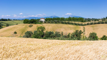 the hills of Abruzzo