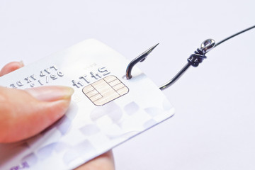 Wall Mural - hand holding a credit card with a fish hook