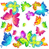 Fototapeta Motyle - butterflies design