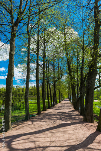 Obraz na płótnie canvas trzyczęściowy "tryptyk" Aleja w catherine park, tsarskoye selo (pushkin), rosja