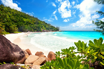 Canvas Print - Anse Georgette - Seychellen, tropischer Strand