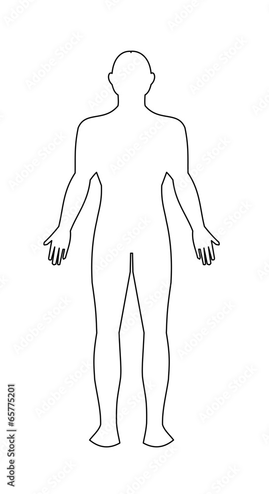 Vector Men's Body Human male body vector Stock Vector | Adobe Stock