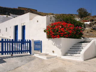 Poster - Blumen an einem Haus auf Santorin