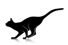 Silhouette Of A Playing Cat