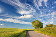 © Thorsten Schier - Blauer Himmel mit Wolken über Landschaft mit Rapsfeld