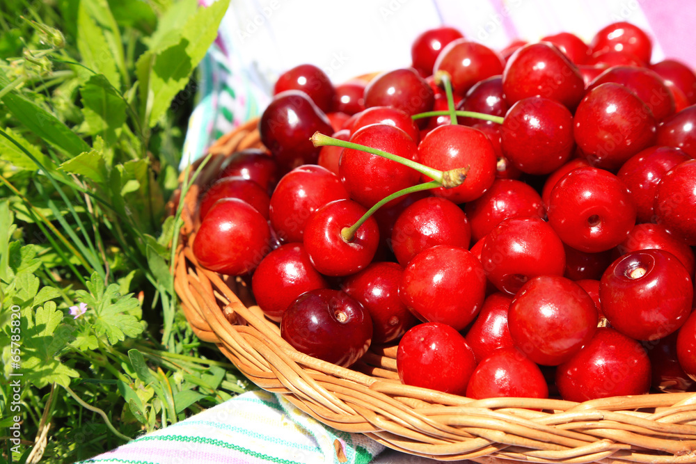 Sweet cherries on wicker stand with napkin on grass background