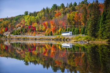 Wall Mural - Highway through fall forest