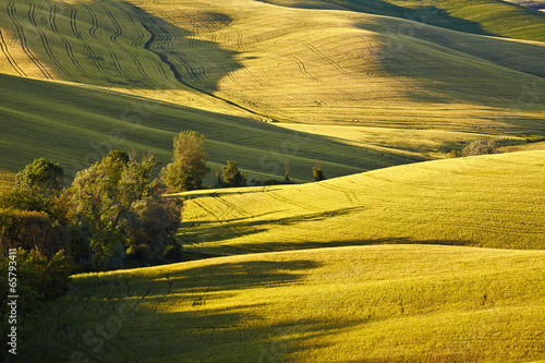 Board z aluminiowym obramowaniem Wieś, san quirico d`orcia, toskania, włochy
