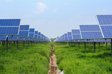 Wall Mural - solar panel alternative energy from the sun