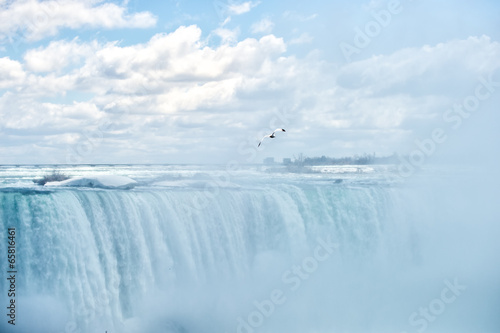 Fotoboard na płycie Wodospad Niagara - mewa morska unosząca się w gęstej mgle