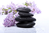 Fototapeta Kamienie - Therapy stones and lilac