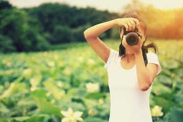 Wall Mural - young woman photographer taking photo of blooming lotus at park 