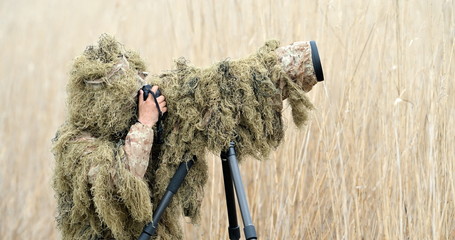 Wall Mural - wildlife photographer outdoor
