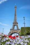 Fototapeta Boho - Eiffel Tower view from Champ de Mars