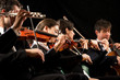 © stokkete - String orchestra performance