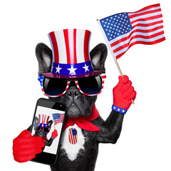 Wall Mural - american selfie dog