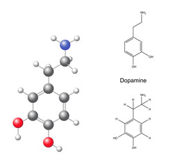 Wall Mural - Structural chemical formulas and model of dopamine